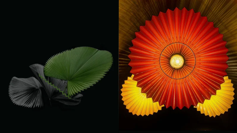 <b>RUFFLE</b> FAN PALM