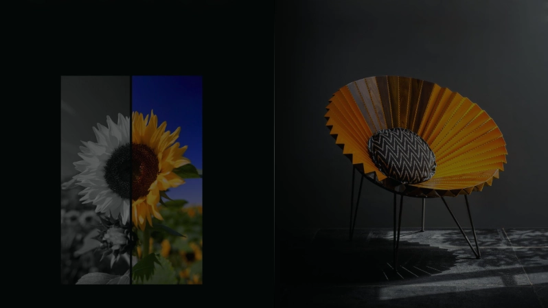 Capturing the <b>Sunflower</b>'s Radiance