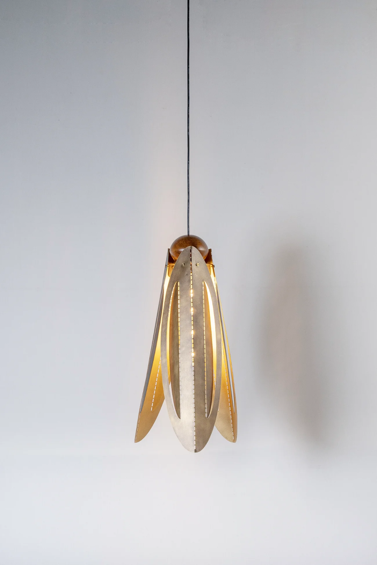 Beetle Hanging Light