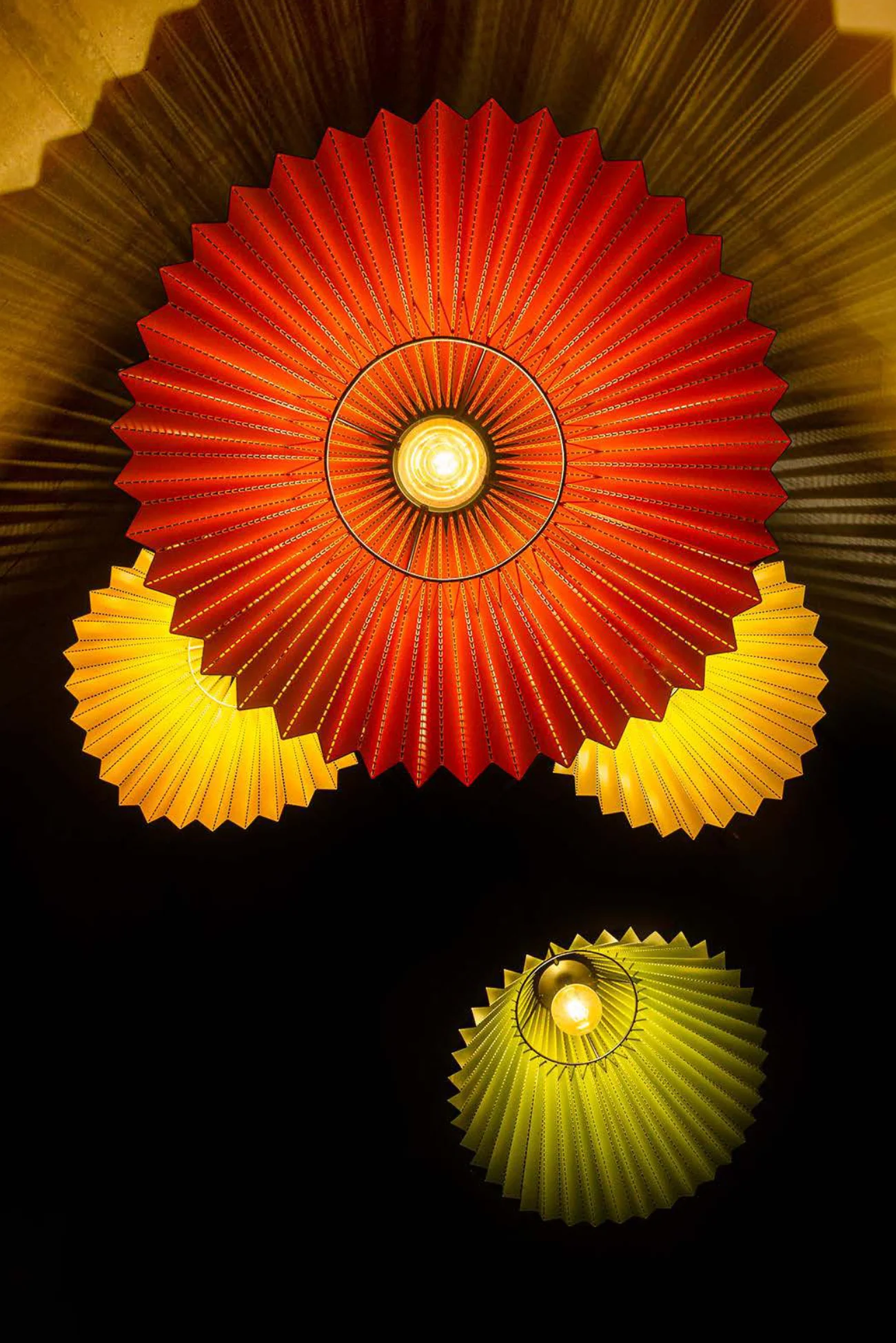 Licuala Pendant Lights